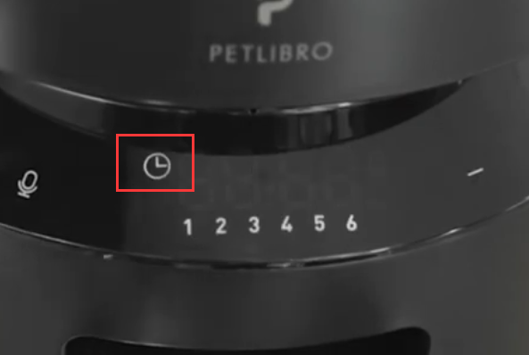 How do I set the current time on the Granary Automatic feeder? AF005 ...